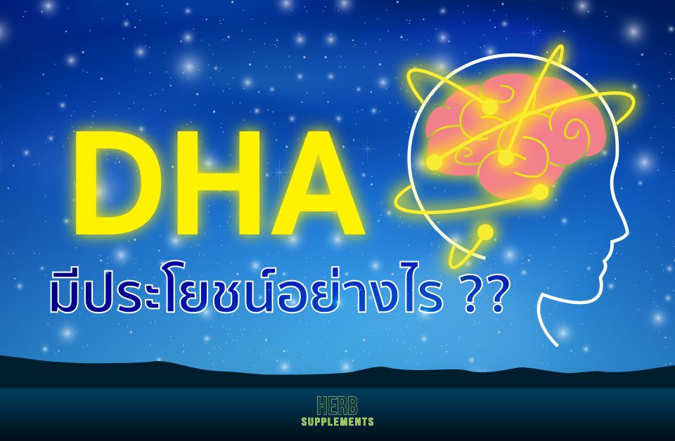 DHA มีประโยชน์อย่างไร