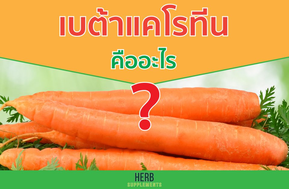 เบต้าแคโรทีน คืออะไร